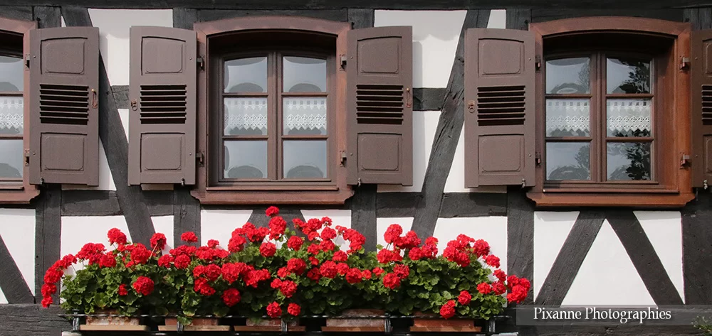 Alsace, Seebach, Maison Alsacienne, Colombages, Fenêtres convexes, Alsace et Moi, Pixanne Photographies