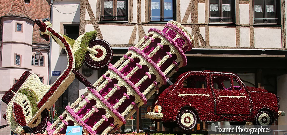 France, Alsace, Sélestat, Corso Fleuri, Dahlias, Alsace et Moi, Pixanne Photographies