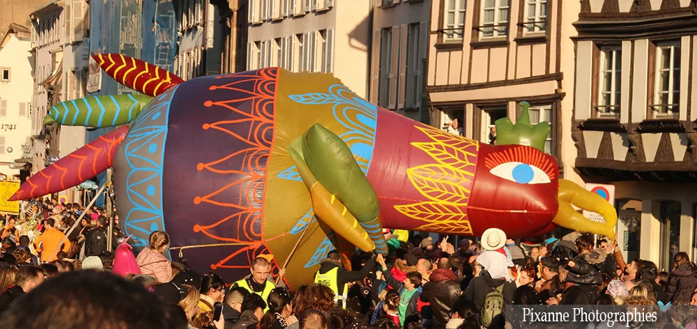 France, Alsace, Strasbourg, Carnaval de Strasbourg, Alsace et Moi, Pixanne Photographies