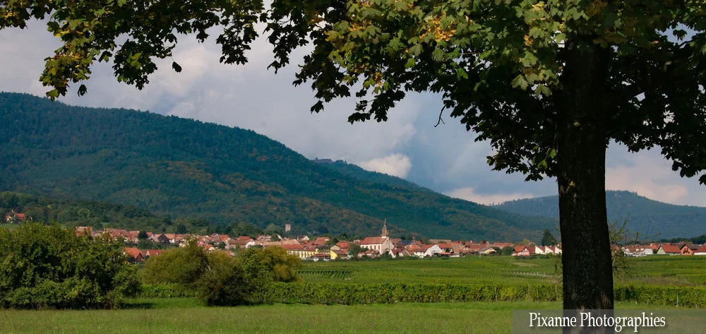 France, Alsace, Andlau, Alsace et Moi, Pixanne Photographies