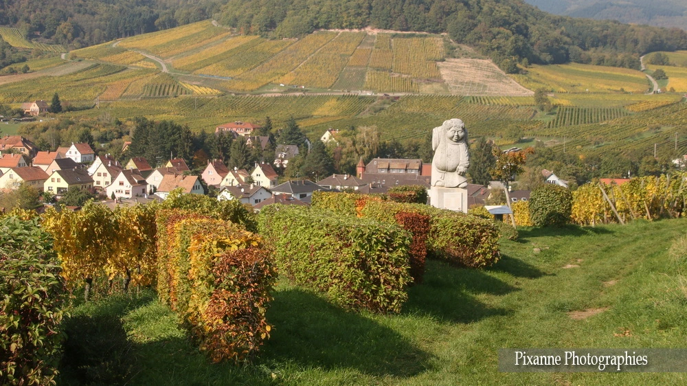 France, Alsace, Andlau, Vigne, Vignoble, Moenchberg, Moine vigneron, Moine du Moenchberg, Alsace et Moi, Pixanne Photographies