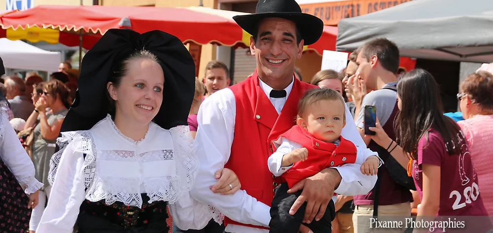 France, Alsace, Dorlisheim, Fête de la Mirabelle, Alsace et Moi, Pixanne Photographies