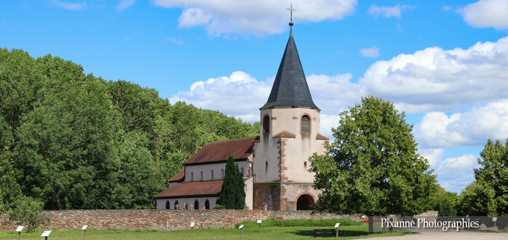 Alsace, Route des Vins, Avolsheim, Dompeter, Eglise Saint Pierre, Alsace et Moi, Pixanne Photographies