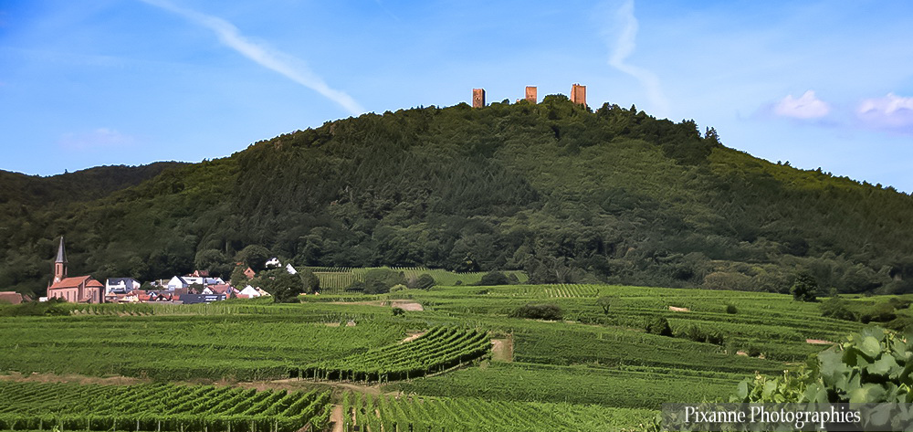 France, Alsace, Eguisheim, Circuit Vignoble et Châteaux, 3 Châteaux d'Eguisheim, Alsace et Moi, Pixanne Photographies