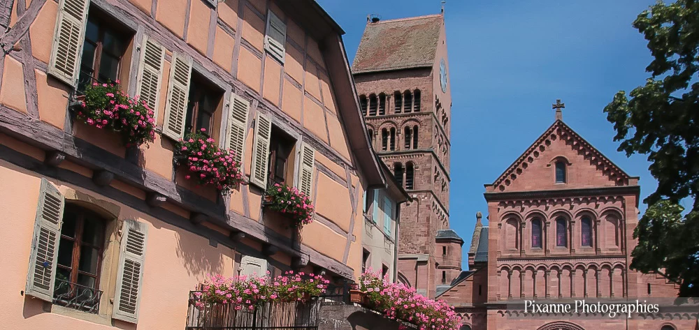 France, Alsace, Gueberschwihr, Alsace et Moi, Pixanne Photographies