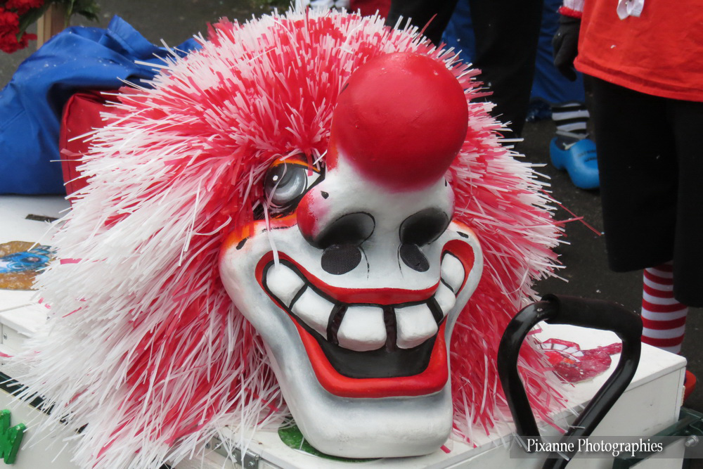 France, Alsace, Colmar, Carnaval de Colmar, Waggis, Alsace et Moi, Pixanne Photographies
