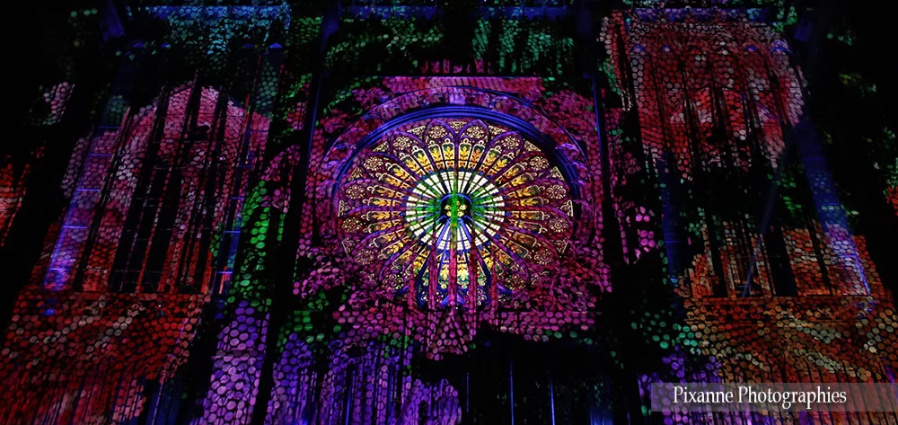 France, Alsace, Strasbourg, Illuminations de la Cathédrale, Rosace, Alsace et Moi, Pixanne Photographies