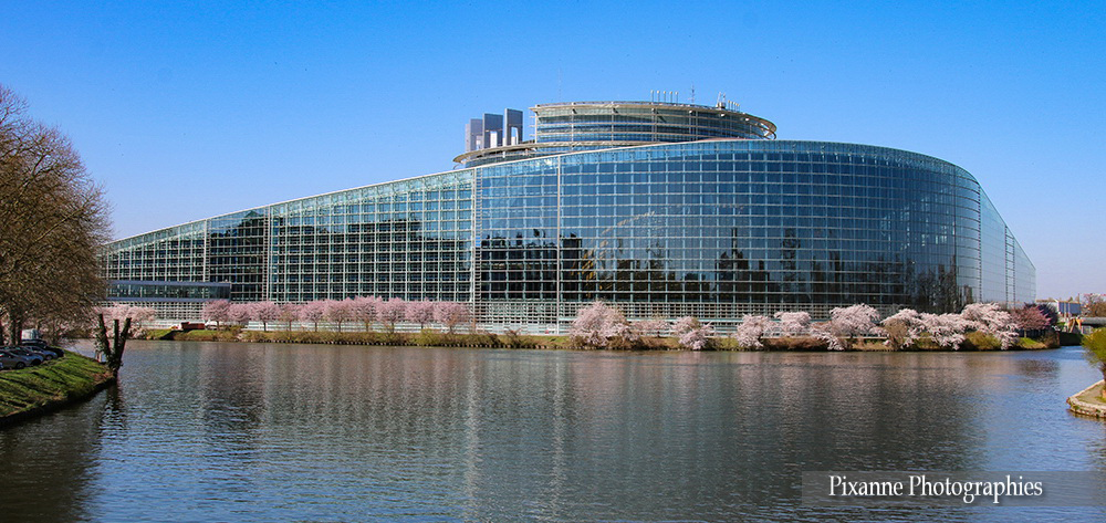 France, Alsace, Strasbourg, Parlement Européen, Printemps, Alsace et Moi, Pixanne Photographies