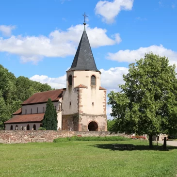 Avolsheim et le Dompeter