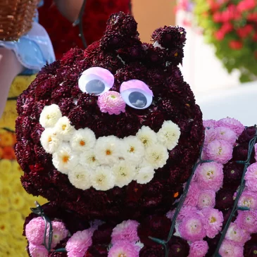 Fête de la Mirabelle * Dorlisheim
