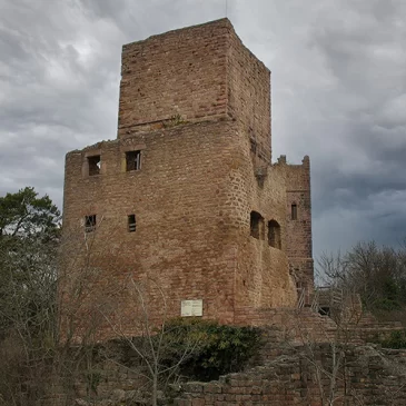 Les 3 châteaux d&rsquo;Eguisheim – Circuit Vignoble et Châteaux
