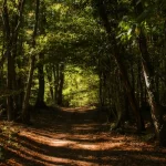 France, Alsace, Route des Vins, Mittelbergheim, Sentier des Espiègles, Alsace et Moi, Pixanne Photographies