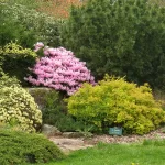 Vosges, Ban de Sapt, Jardins de Callunes, Alsace et Moi, Pixanne Photographies