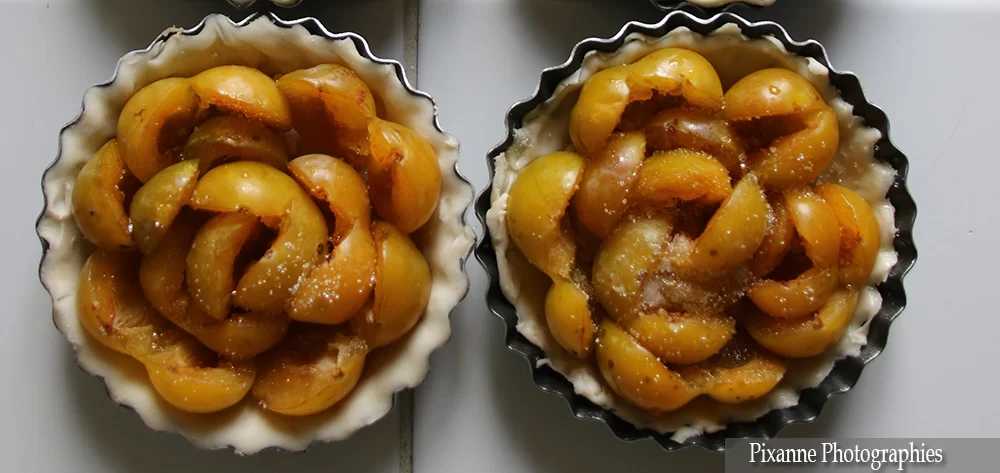 France, Alsace, Recettes Alsaciennes, Tarte Aux Mirabelles, Alsace et Moi, Pixanne Photographies