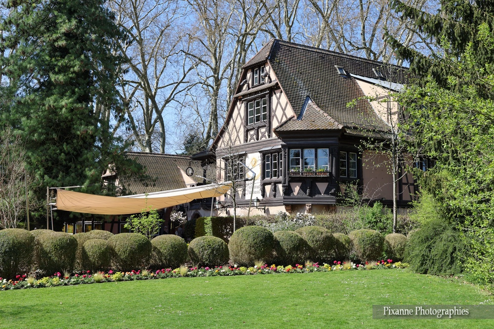 France, Alsace, Strasbourg, Quartier Orangerie Conseil des XV, Parc de l'Orangerie, Buerehiesel, Restaurant, Alsace et Moi, Pixanne Photographies