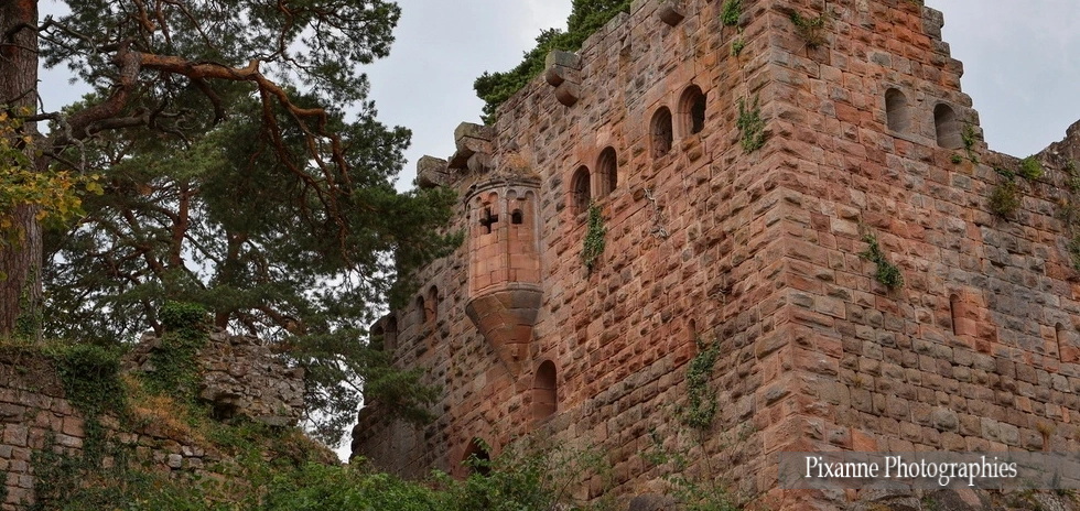 France, Alsace, Heiligenstein, Château du Landsberg, Alsace et Moi, Pixanne Photographies