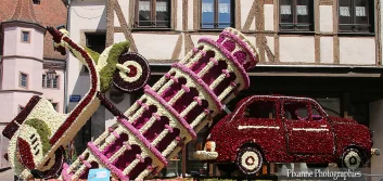 France, Alsace, Sélestat, Corso Fleuri, Dahlias, Alsace et Moi, Pixanne Photographies