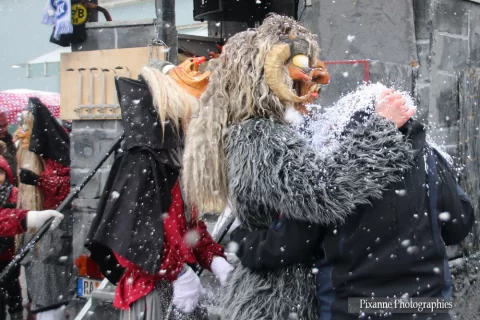 Allemagne, Kehl, Carnaval de Kehl, Fasenacht, Alsace et Moi, Pixanne Photographies
