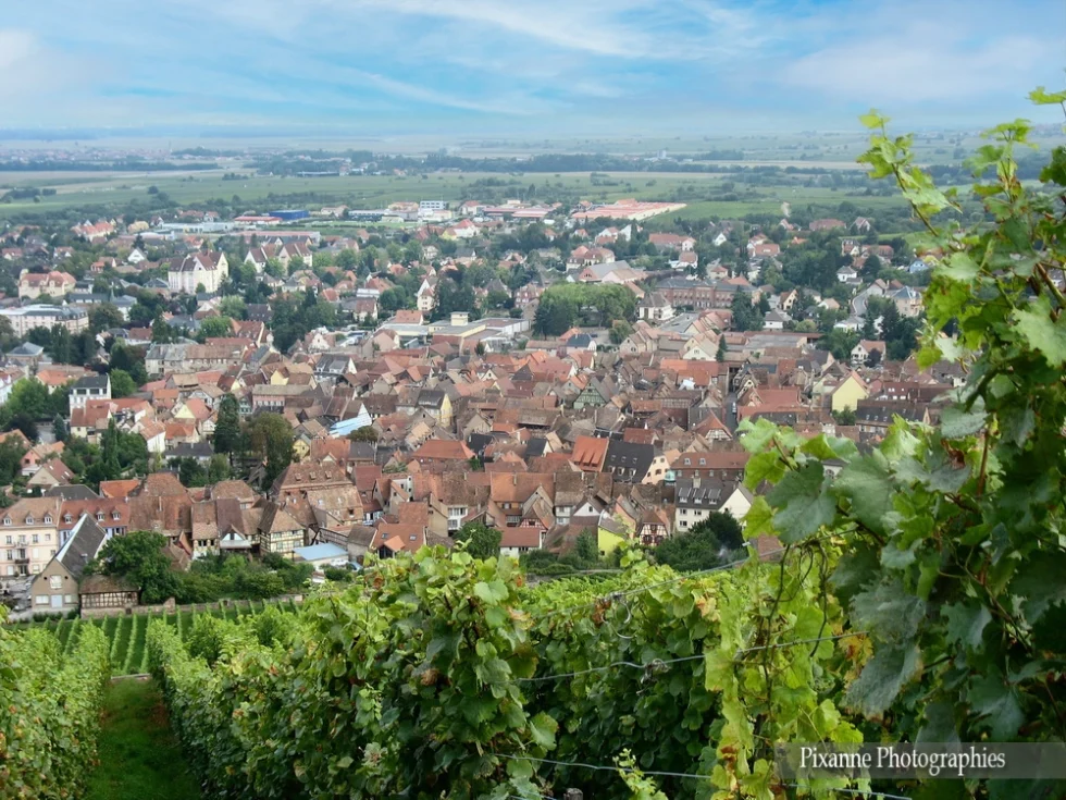 France, Alsace, Barr, Alsace et Moi, Pixanne Photographies