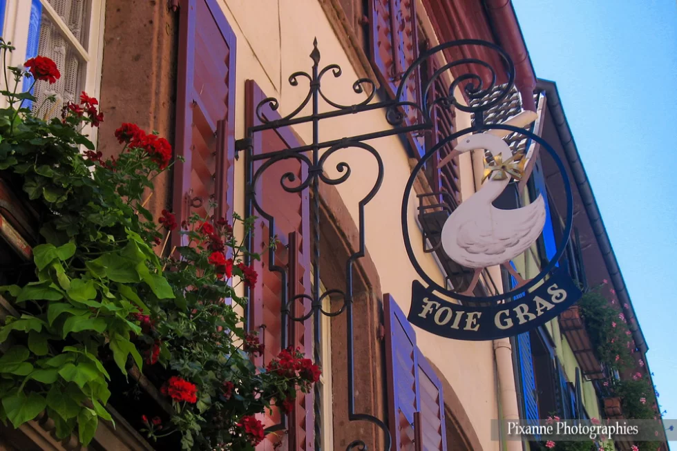 Alsace, Route des Vins, Ribeauvillé, Enseigne, Foie Gras, Alsace et Moi, Pixanne Photographies