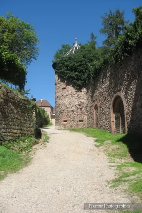 Alsace, Route des vins, Ribeauvillé, Tour des Sorcières, Alsace et Moi, Pixanne Photographies