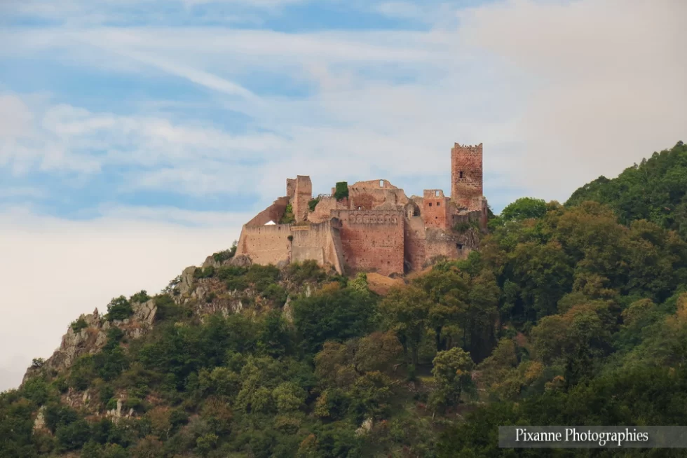 Alsace, Route des vins, Ribeauvillé, Château Saint Ulrich, Alsace et Moi, Pixanne Photographies