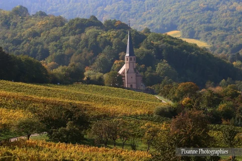 France, Alsace, Andlau, Chapelle Saint André, Alsace et Moi, Pixanne Photographies
