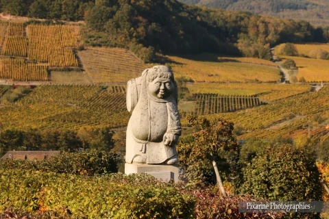 France, Alsace, Andlau, Moine Vigneron, Moine du Moenchberg, Alsace et Moi, Pixanne Photographies