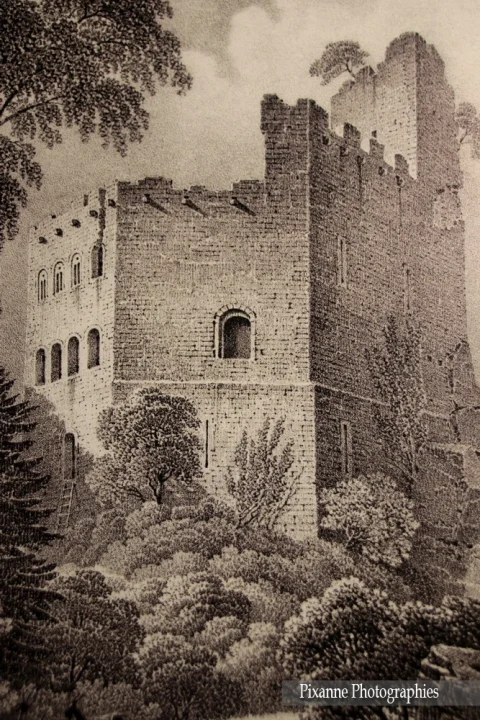 France, Alsace, Andlau, La Seigneurie,Château du Spesbourg, Alsace et Moi, Pixanne Photographies