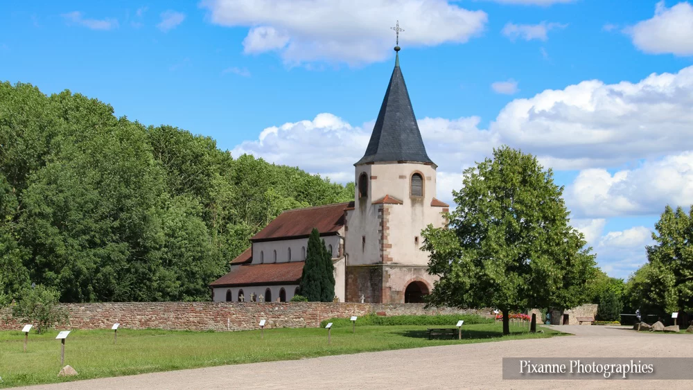 Alsace, Route des Vins, Avolsheim, Dompeter, Eglise Saint Pierre, Alsace et Moi, Pixanne Photographies