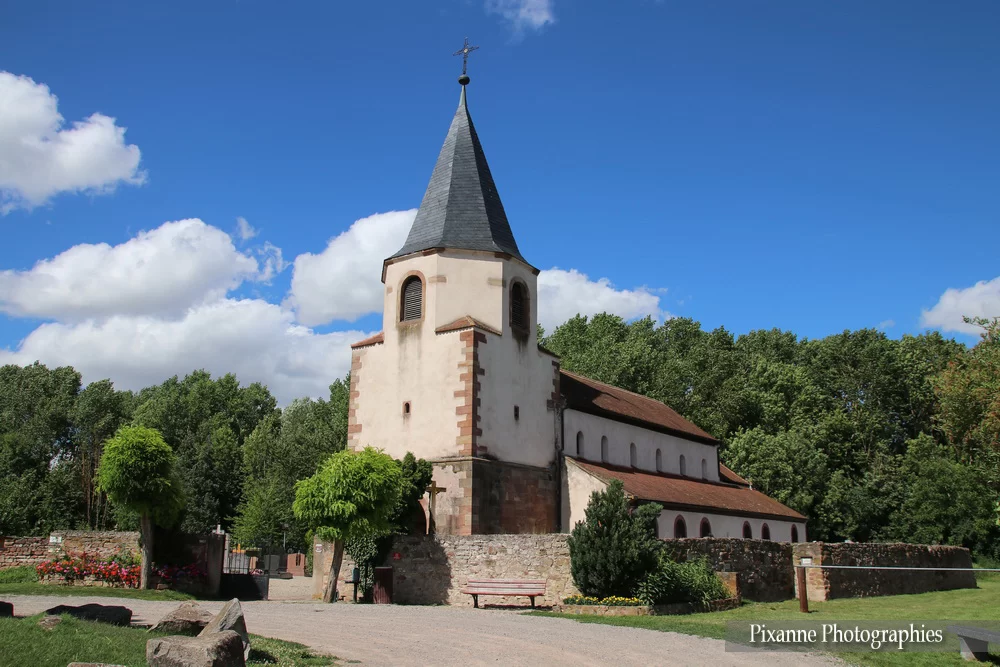 France, Alsace, Route des Vins, Avolsheim, Dompeter, Eglise Saint Pierre, Alsace et Moi, Pixanne Photographies