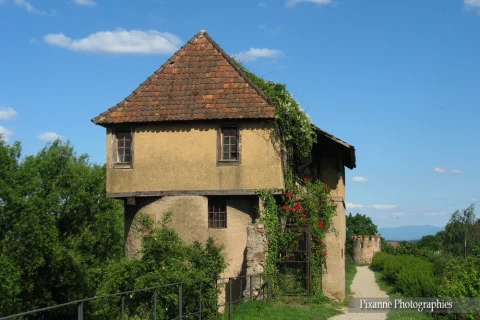 alsace, bergheim, chemin des remparts, tour schwein, alsace et moi, pixanne photographies