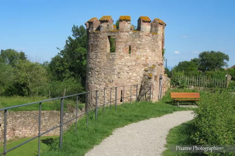 alsace, bergheim, chemin des remparts, tour de guet, tour des sorcières, alsace et moi, pixanne photographies