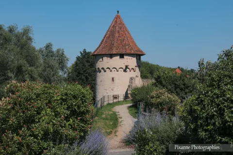 alsace, bergheim, chemin des remparts, tour de la poudrière, alsace et moi, pixanne photographies