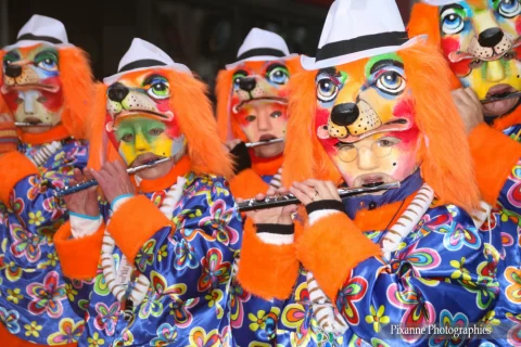 Suisse, Bâle, Carnaval de Bâle, Alsace et Moi, Pixanne Photographies