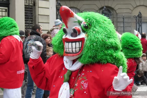 France, Alsace, Mulhouse, Carnaval de Mulhouse, Waggis, Alsace et Moi, Pixanne Photographies