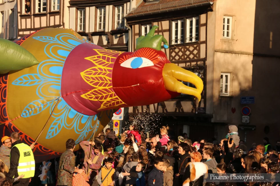 France, Alsace, Strasbourg, Carnaval de Strasbourg, Alsace et Moi, Pixanne Photographies