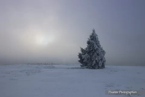 Alsace, Champ du Feu, Bellefosse, Alsace et Moi, Pixanne Photographies