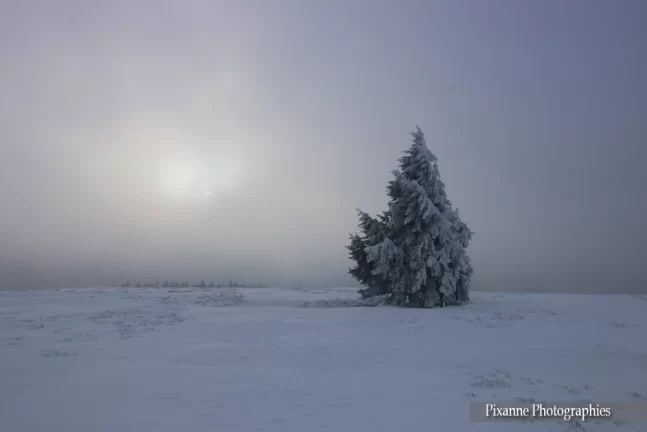 Alsace, Champ du Feu, Bellefosse, Alsace et Moi, Pixanne Photographies
