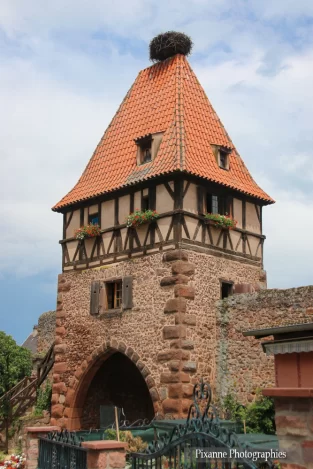 France, Alsace, Chatenois, Kestenholz,Porte des sorcières, Alsace et Moi, Pixanne Photographies