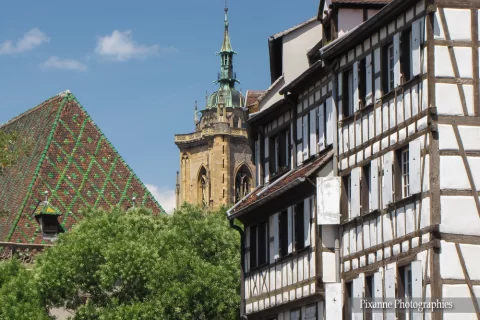 alsace, colmar, collégiale saint martin, maisons alsaciennes, alsace et moi, pixanne photographies