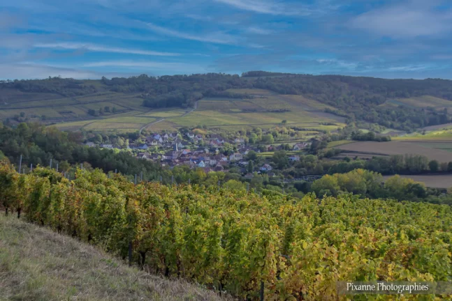 France, Alsace, Dahlenheim, Scharrachberg, Vignes, Vignoble, Alsace et Moi, Pixanne Photographies