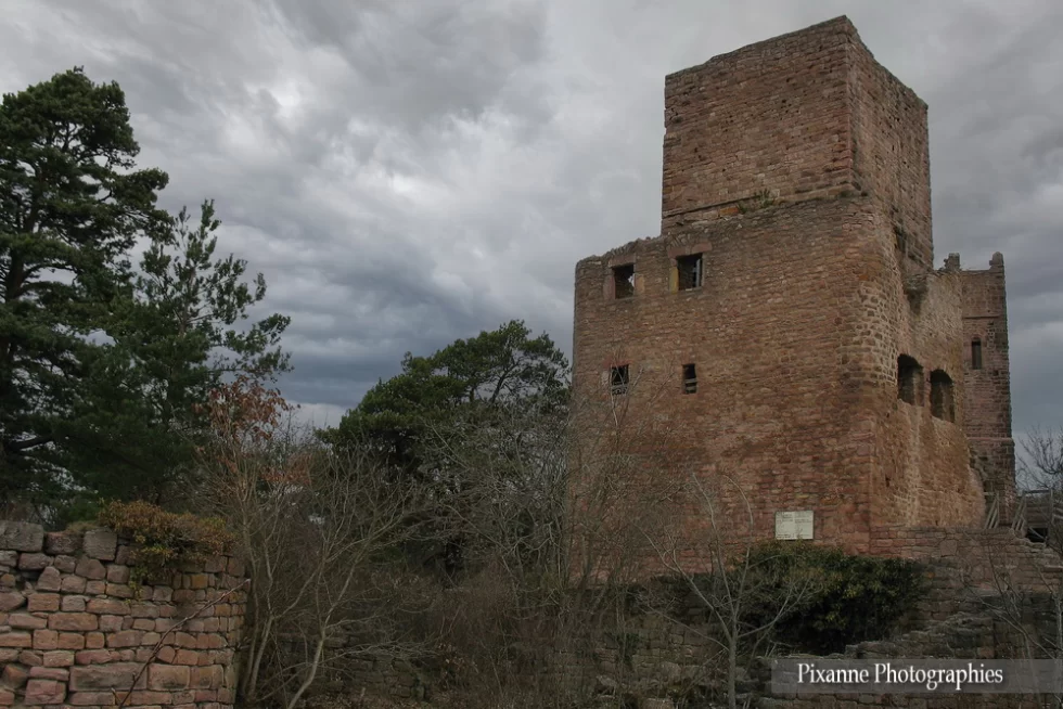 France, Alsace, Eguisheim, Circuit Vignoble et Châteaux, 3 Châteaux d'Eguisheim, Alsace et Moi, Pixanne Photographies