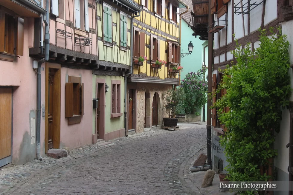 France, Alsace, Eguisheim, Maisons Alsaciennes, Colombages, Plan, Trois Châteaux d'Eguisheim, Alsace et Moi, Pixanne Photographies
