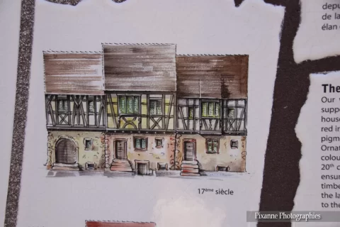 France, Alsace, Eguisheim, Trois Châteaux d'Eguisheim, Alsace et Moi, Pixanne Photographies