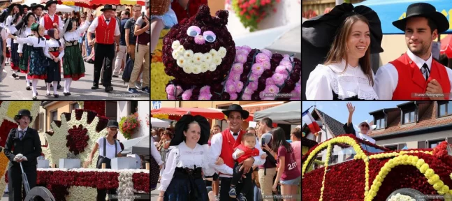France, Alsace, Dorlisheim, Fête de la Mirabelle, Alsace et Moi, Pixanne Photographies