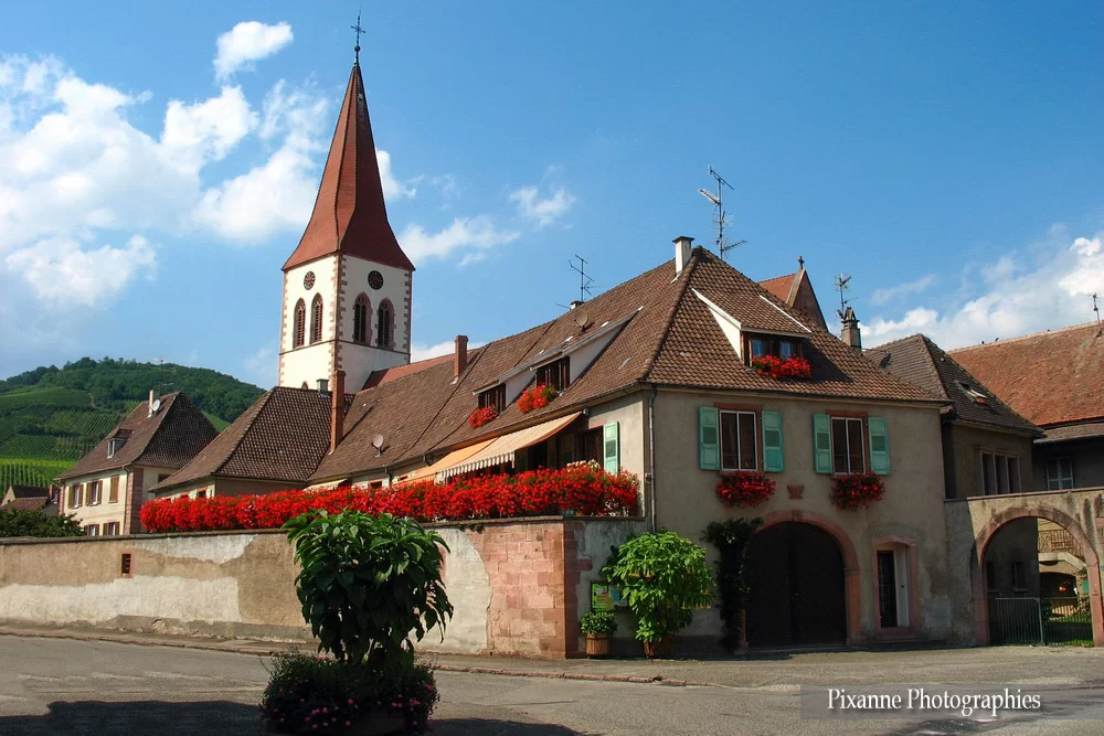 France, Alsace, Ammerschwihr, Alsace et Moi, Pixanne Photographies