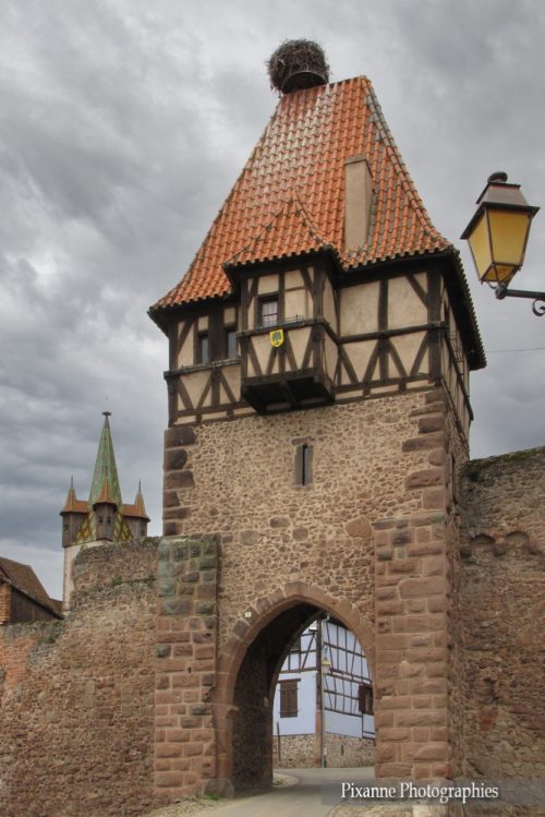 France, Alsace, Chatenois, Porte des sorcières, Alsace et Moi, Pixanne Photographies