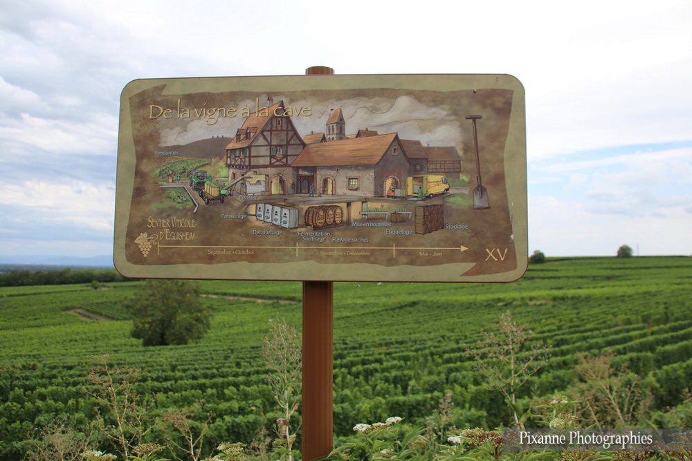 France, Alsace, Route des vins, Eguisheim