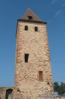 Alsace Route des Vins, Obernai, Tour, Alsace et Moi, Pixanne Photographies